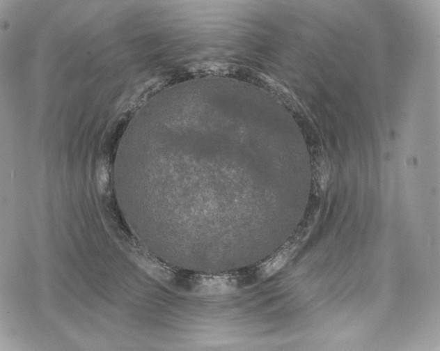 X0000076300709200609291036