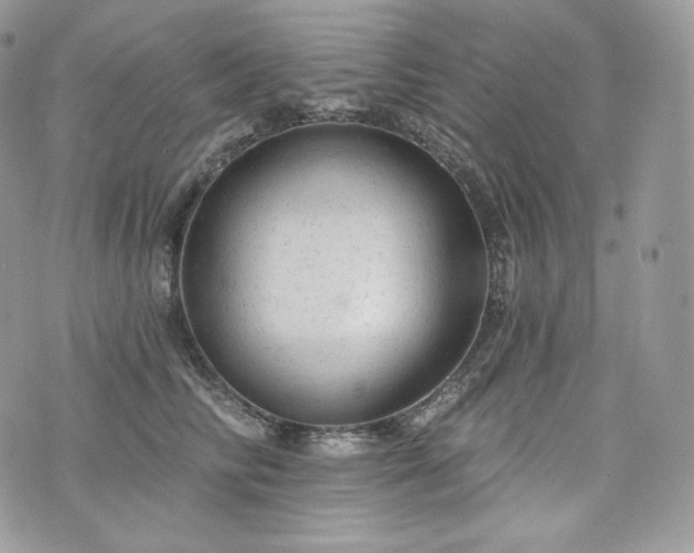 X0000076300710200609291036