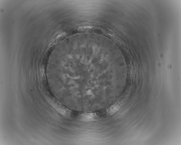 X0000076300711200609291036