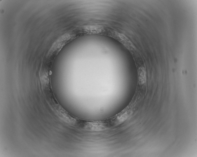 X0000076300713200609291036