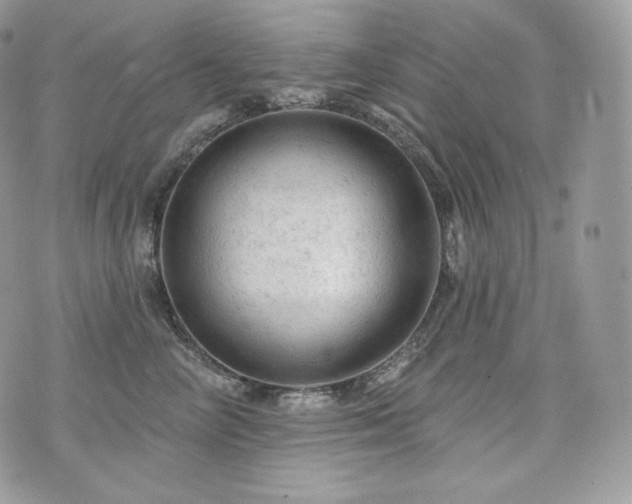 X0000076300714200609291035