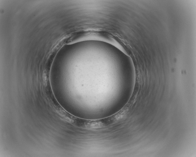 X0000076300716200609291035