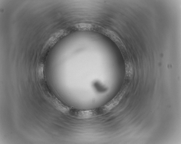 X0000076300717200609291035