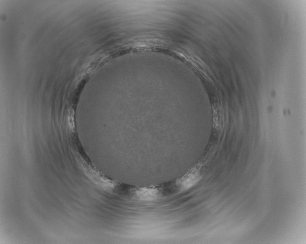 X0000076300718200609291035