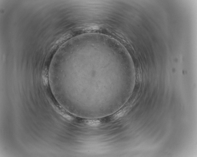 X0000076300719200609291035