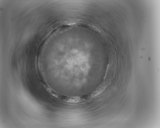 X0000076300720200609291035