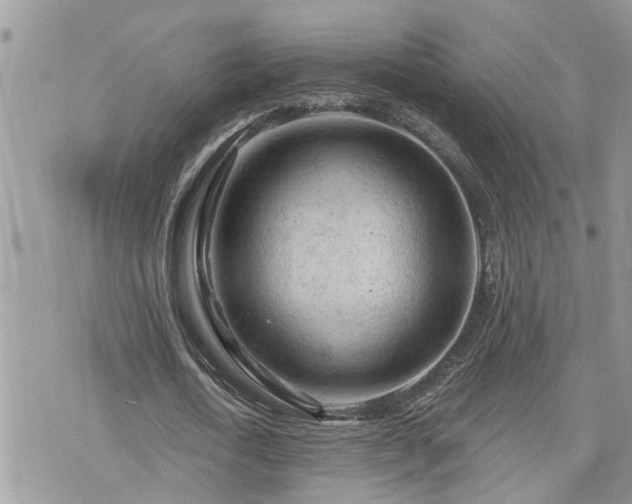 X0000076300722200609291035