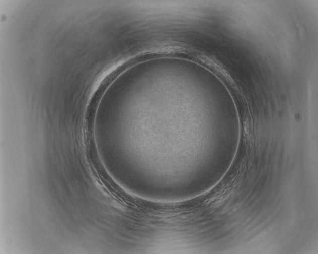 X0000076300724200609291035