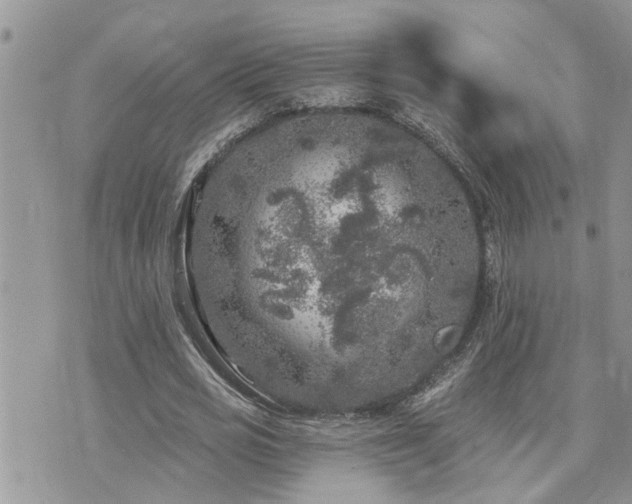 X0000076300725200609291035