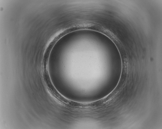 X0000076300726200609291035