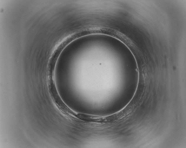 X0000076300728200609291035