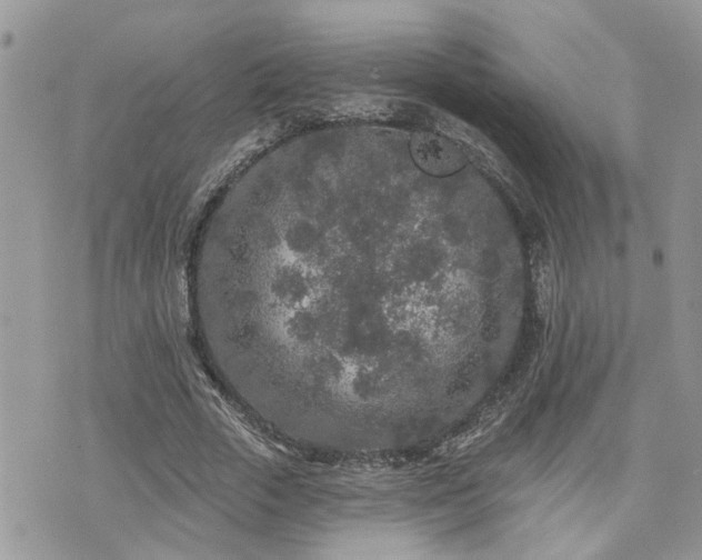 X0000076300729200609291035