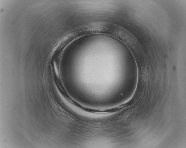 X0000076300731200609291035