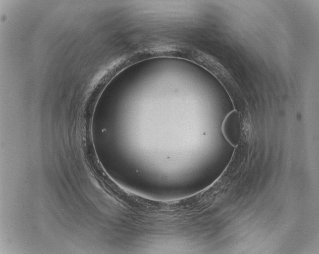 X0000076300732200609291035