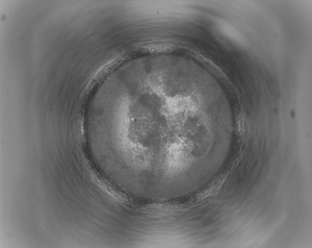 X0000076300733200609291035