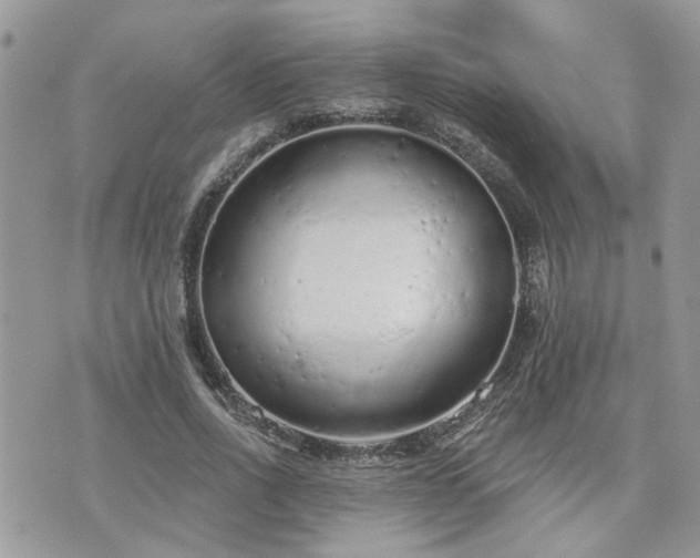 X0000076300734200609291035