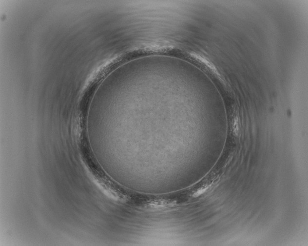 X0000076300736200609291035