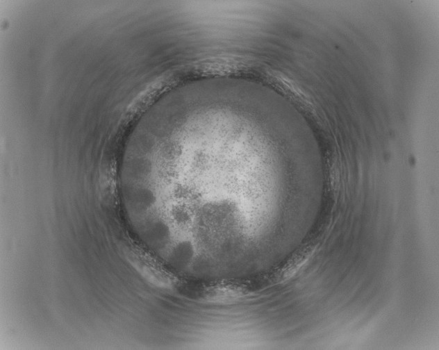 X0000076300737200609291035