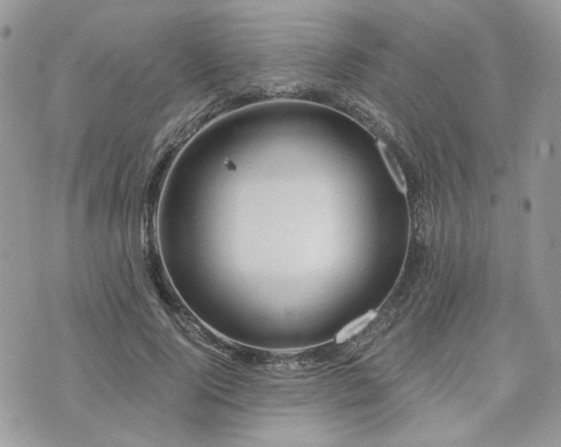 X0000076300740200609291035