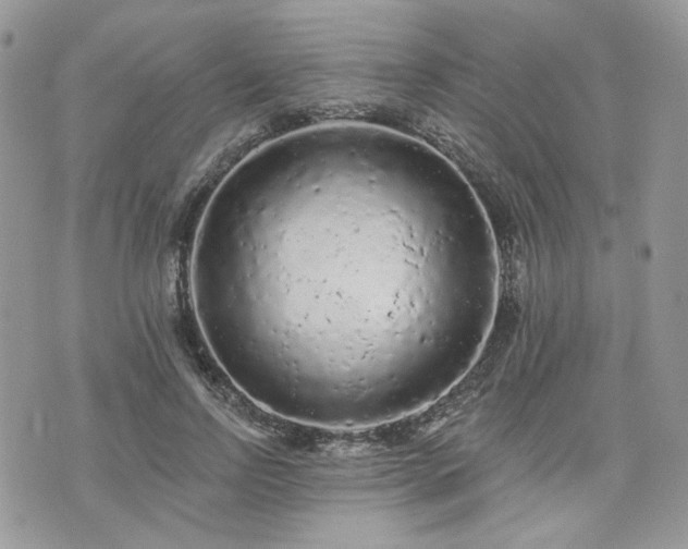 X0000076300742200609291035