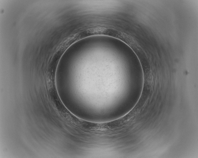 X0000076300743200609291035