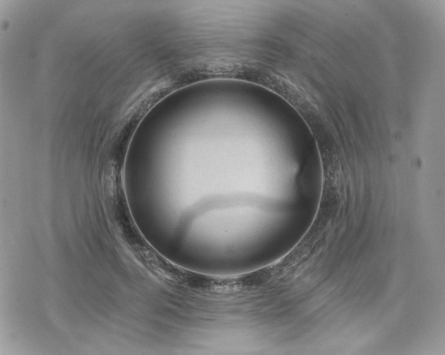 X0000076300744200609291035