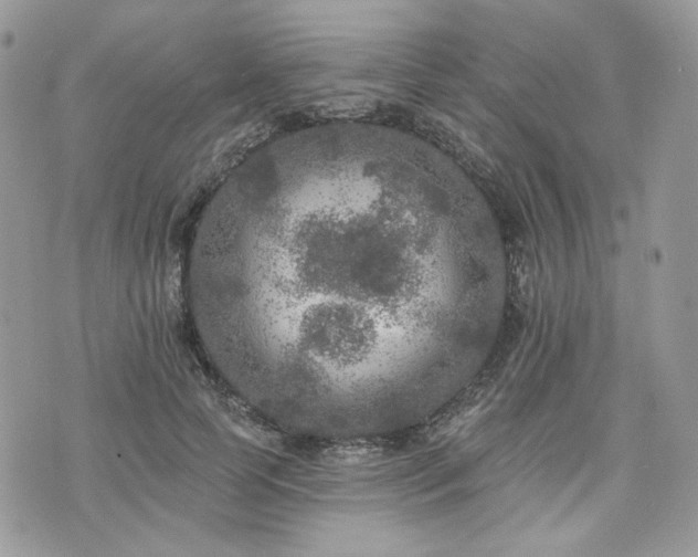 X0000076300745200609291035