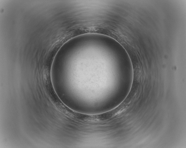 X0000076300747200609291035