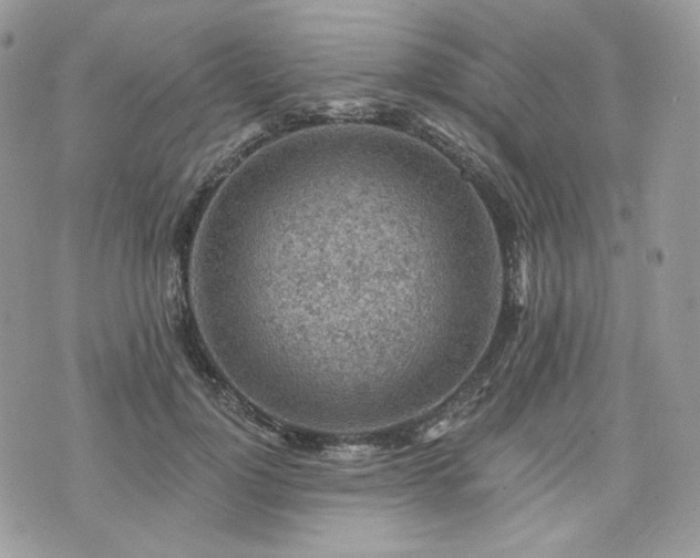 X0000076300748200609291035