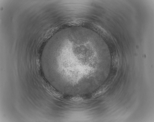 X0000076300749200609291035