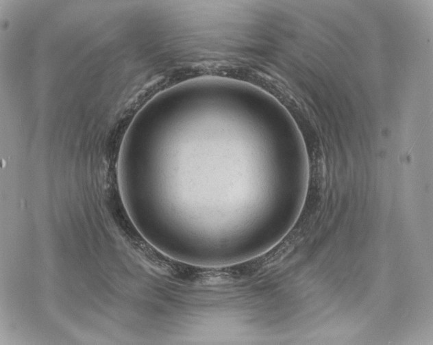 X0000076300750200609291035