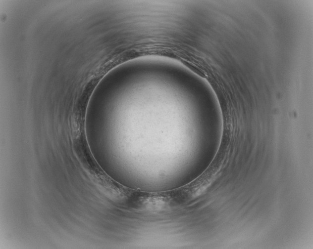 X0000076300751200609291035