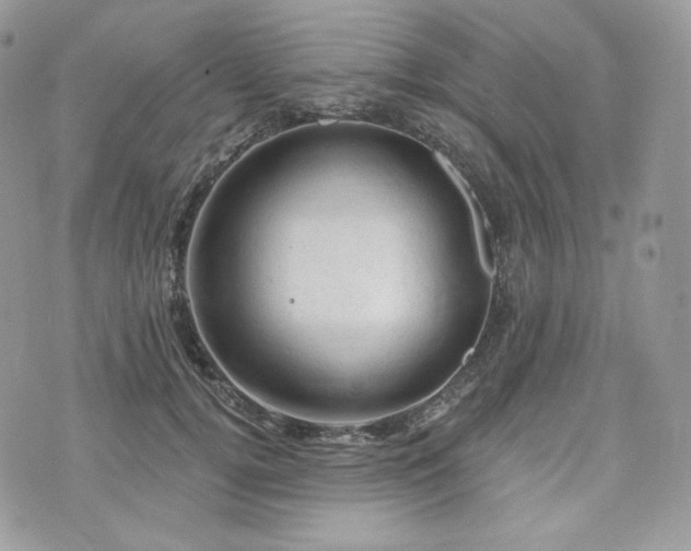 X0000076300752200609291035