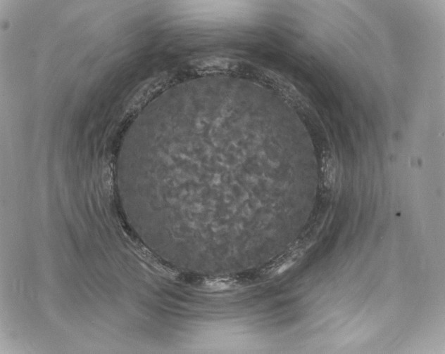 X0000076300753200609291035