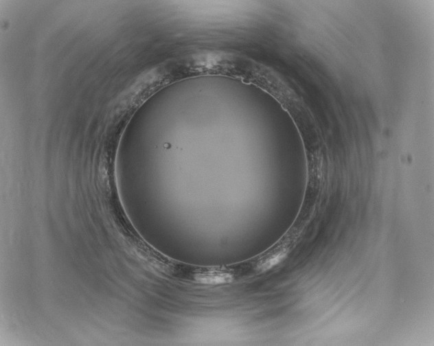 X0000076300754200609291035