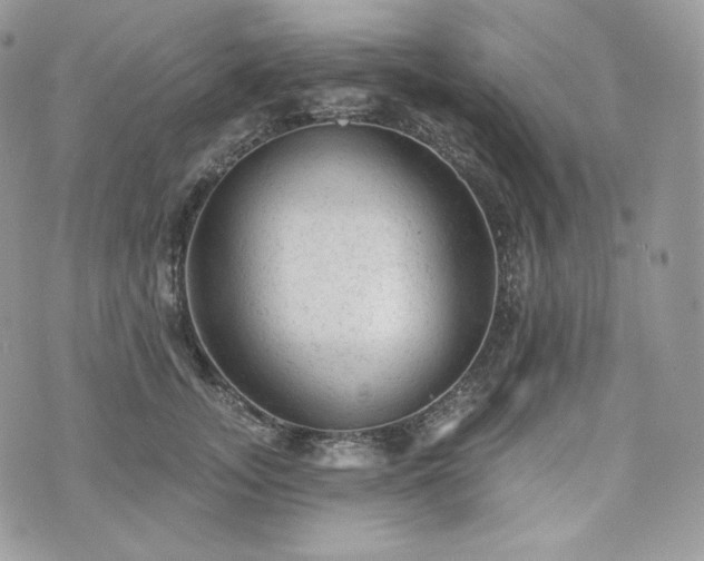 X0000076300755200609291035