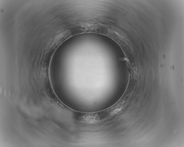 X0000076300756200609291035