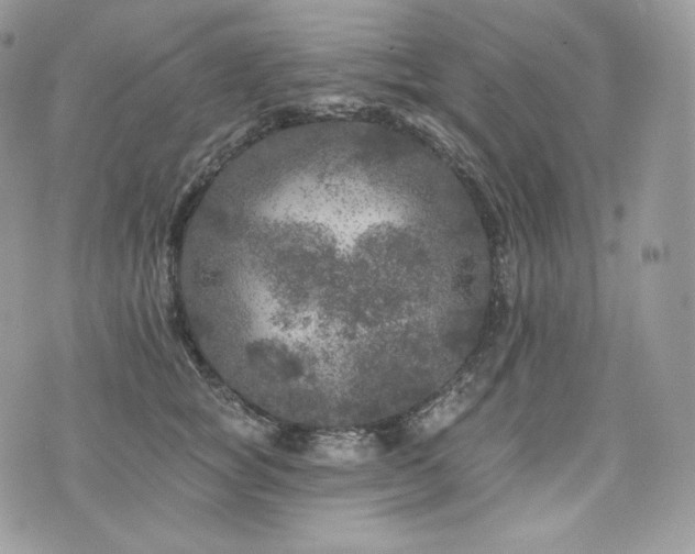 X0000076300757200609291035