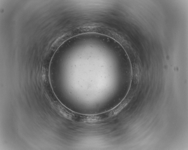 X0000076300758200609291035