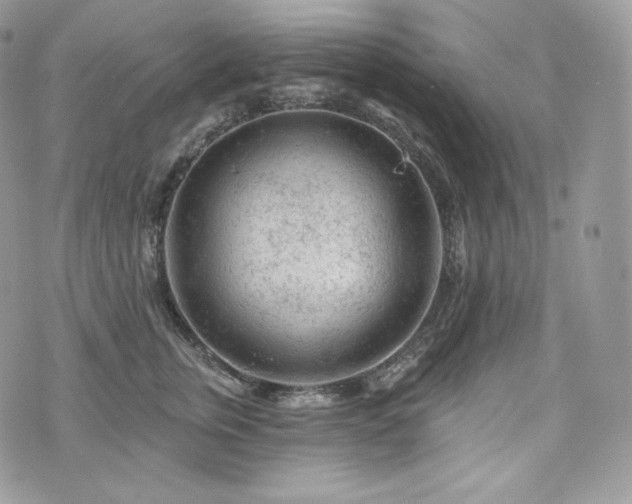 X0000076300759200609291035