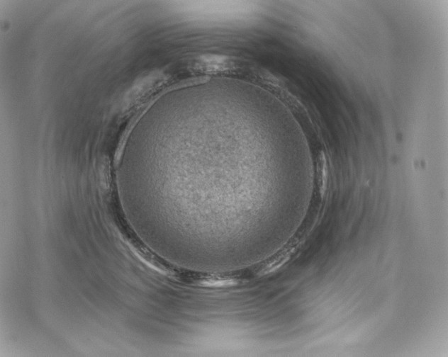 X0000076300760200609291035