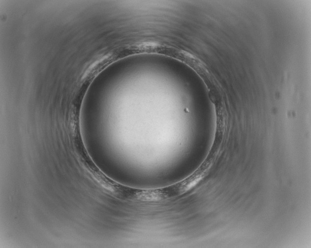 X0000076300762200609291035