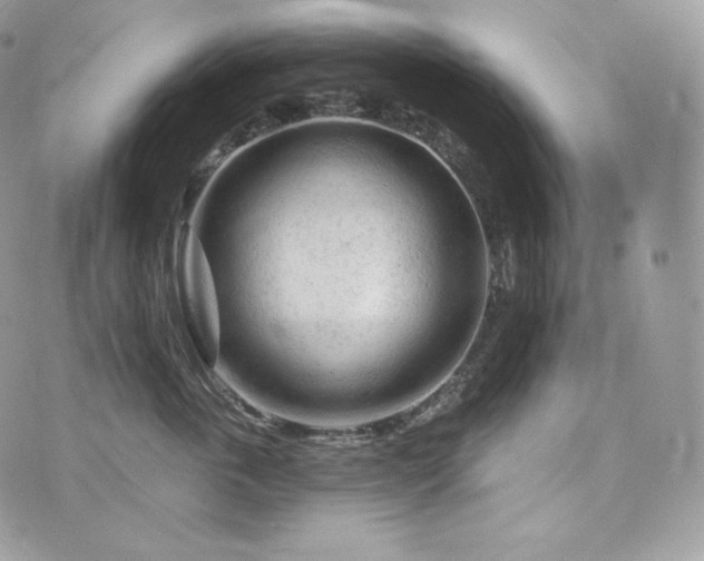 X0000076300763200609291035