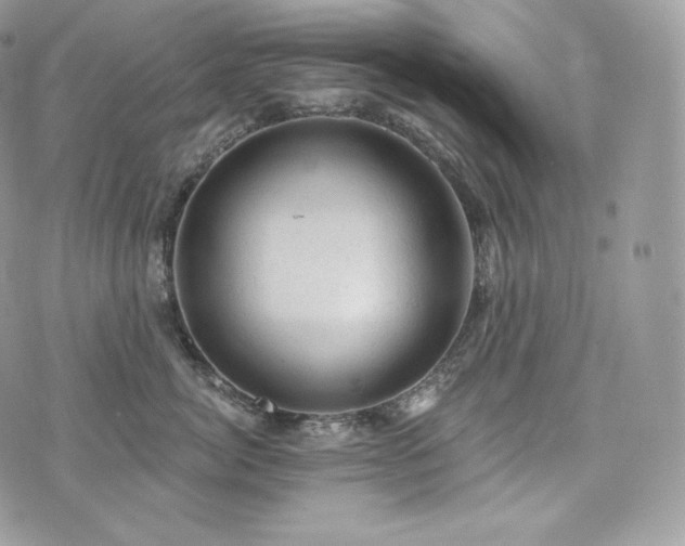 X0000076300764200609291035