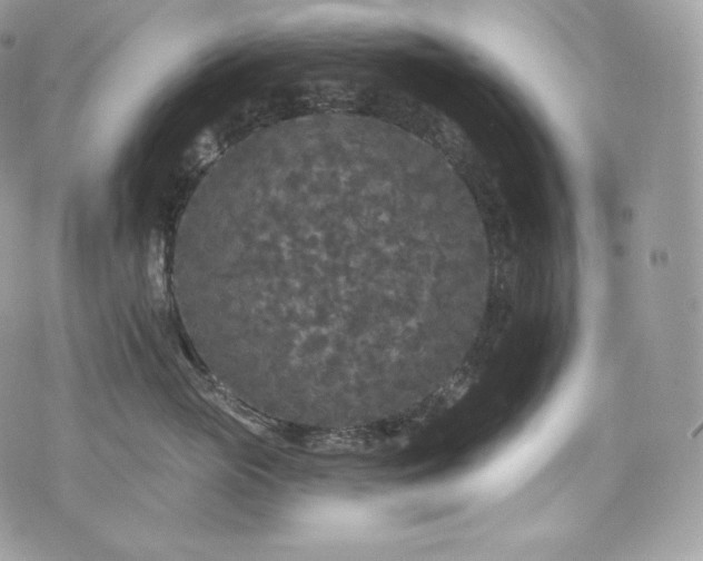 X0000076300765200609291035