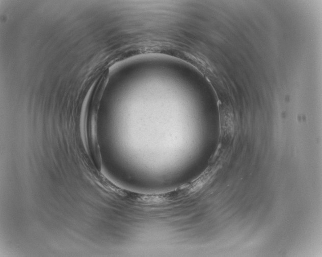 X0000076300766200609291035