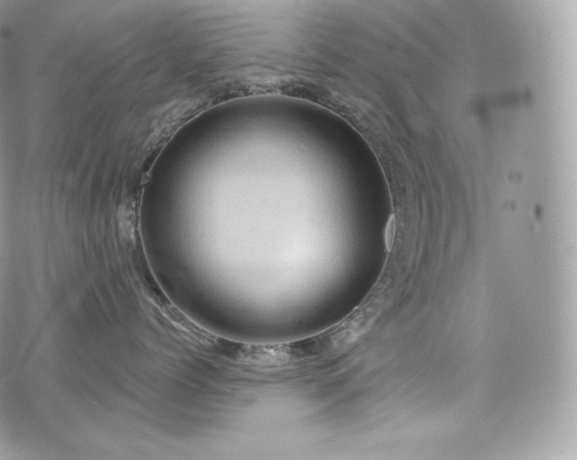 X0000076300768200609291035