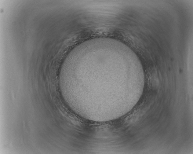 X0000076300769200609291035