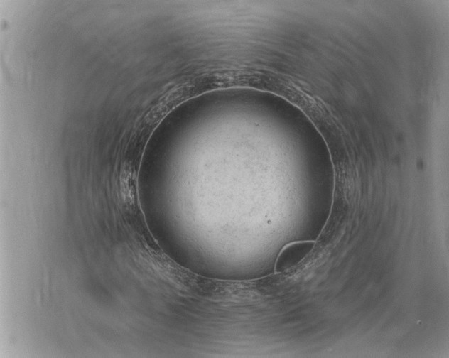 X0000076300770200609291035