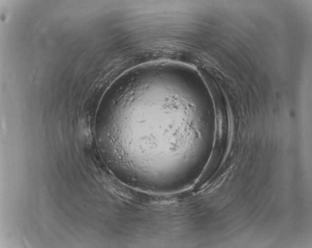 X0000076300771200609291035